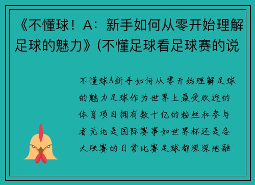 《不懂球！A：新手如何从零开始理解足球的魅力》(不懂足球看足球赛的说说)