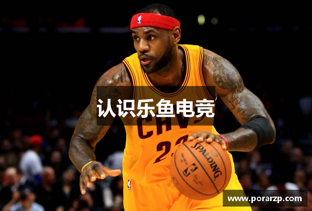 认识乐鱼电竞
